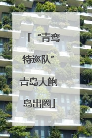 “青鸾特巡队”青岛大鲍岛出圈