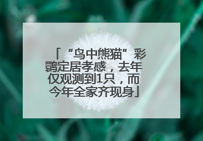 “鸟中熊猫”彩鹮定居孝感，去年仅观测到1只，而今年全家齐现身