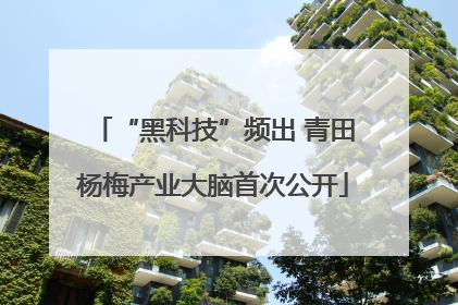 “黑科技”频出 青田杨梅产业大脑首次公开
