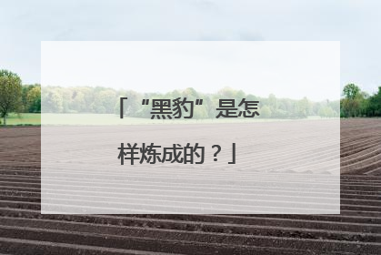 “黑豹”是怎样炼成的？