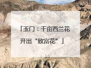 玉门：千亩西兰花开出“致富花”