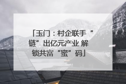 玉门：村企联手“链”出亿元产业 解锁共富“蜜”码