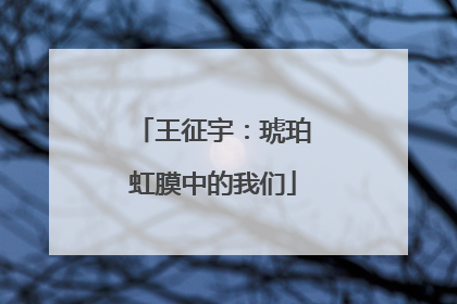 王征宇：琥珀虹膜中的我们