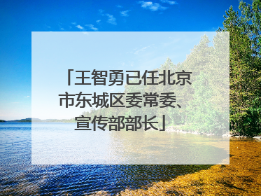 王智勇已任北京市东城区委常委、宣传部部长