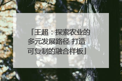 王超：探索农业的多元发展路径 打造可复制的融合样板