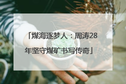 煤海逐梦人：周涛28年坚守煤矿书写传奇