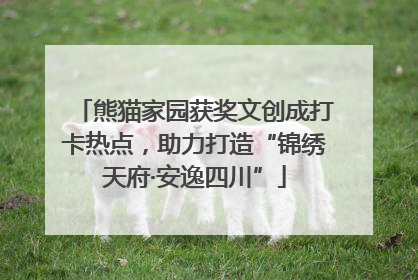 熊猫家园获奖文创成打卡热点，助力打造“锦绣天府·安逸四川”