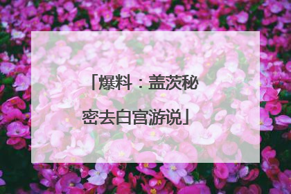 爆料：盖茨秘密去白宫游说