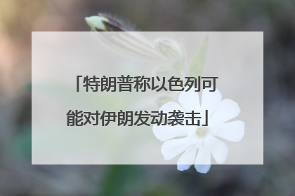 特朗普称以色列可能对伊朗发动袭击