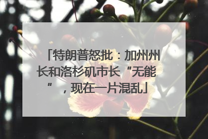特朗普怒批：加州州长和洛杉矶市长“无能”，现在一片混乱