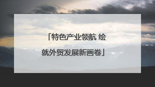 特色产业领航 绘就外贸发展新画卷