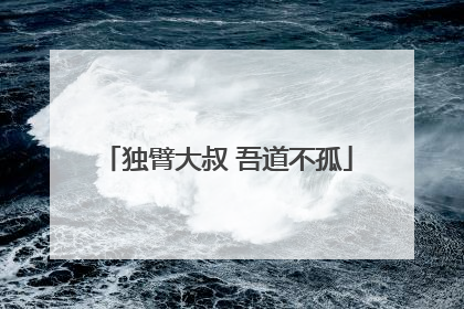 独臂大叔 吾道不孤