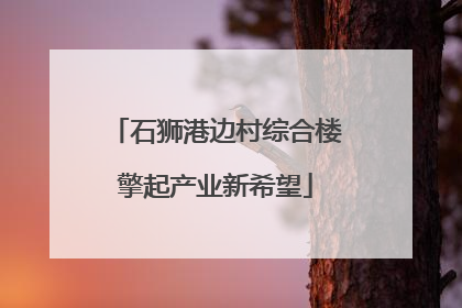 石狮港边村综合楼擎起产业新希望
