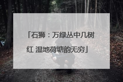 石狮：万绿丛中几树红 湿地荷塘韵无穷