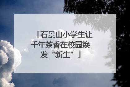 石景山小学生让千年茶香在校园焕发“新生”