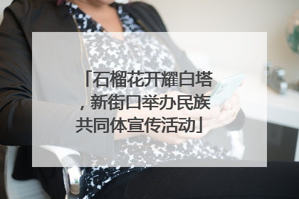 石榴花开耀白塔，新街口举办民族共同体宣传活动