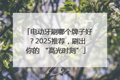 电动牙刷哪个牌子好？2025推荐，刷出你的 “高光时刻”