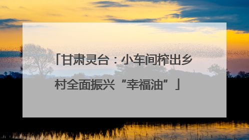 甘肃灵台：小车间榨出乡村全面振兴“幸福油”