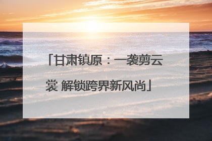 甘肃镇原：一袭剪云裳 解锁跨界新风尚