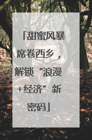 甜蜜风暴席卷西乡，解锁“浪漫+经济”新密码