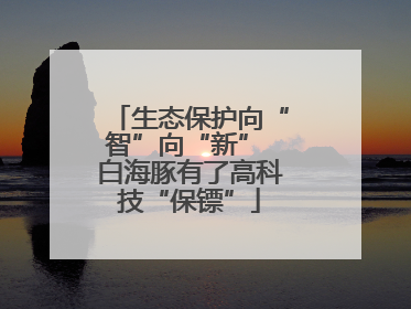 生态保护向“智”向“新” 白海豚有了高科技“保镖”