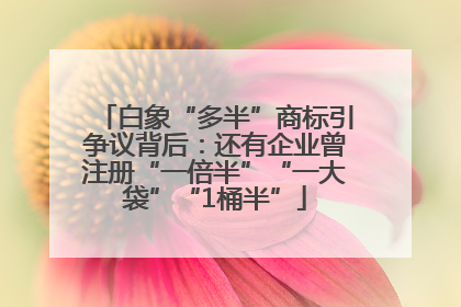 白象“多半”商标引争议背后：还有企业曾注册“一倍半”“一大袋”“1桶半”