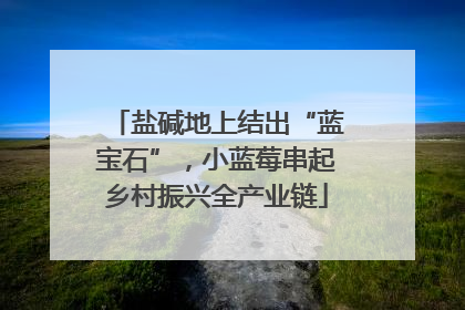 盐碱地上结出“蓝宝石”，小蓝莓串起乡村振兴全产业链