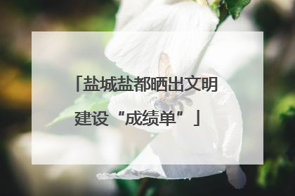 盐城盐都晒出文明建设“成绩单”