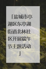 盐城市亭湖区东亭湖街道北林社区开展端午节主题活动