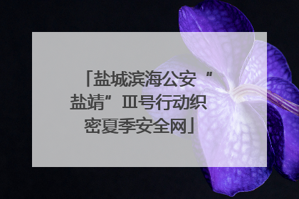 盐城滨海公安“盐靖”Ⅲ号行动织密夏季安全网