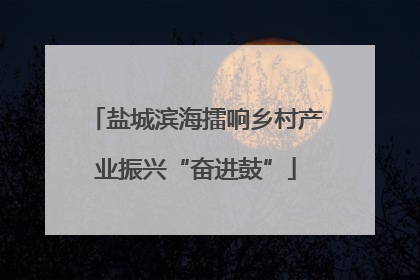 盐城滨海擂响乡村产业振兴“奋进鼓”