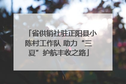 省供销社驻正阳县小陈村工作队 助力“三夏”护航丰收之路