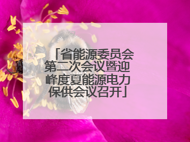 省能源委员会第二次会议暨迎峰度夏能源电力保供会议召开