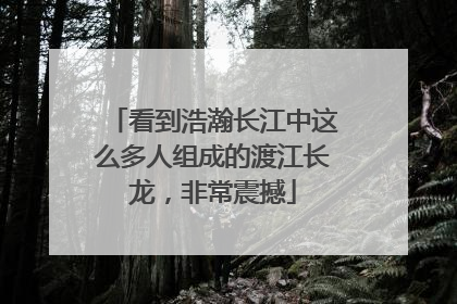 看到浩瀚长江中这么多人组成的渡江长龙，非常震撼