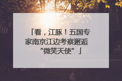 看，江豚！五国专家南京江边考察邂逅“微笑天使”