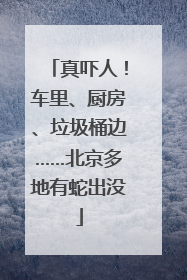 真吓人！车里、厨房、垃圾桶边……北京多地有蛇出没