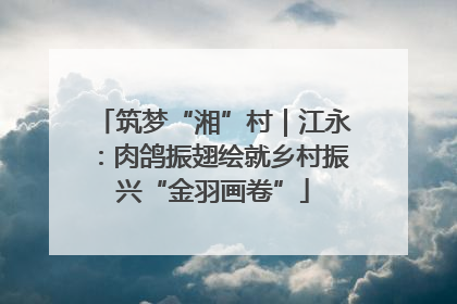 筑梦“湘”村｜江永：肉鸽振翅绘就乡村振兴“金羽画卷”
