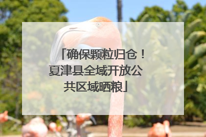 确保颗粒归仓！夏津县全域开放公共区域晒粮