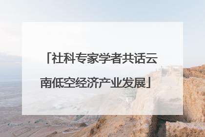 社科专家学者共话云南低空经济产业发展