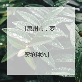 禹州市：麦罢抢种急