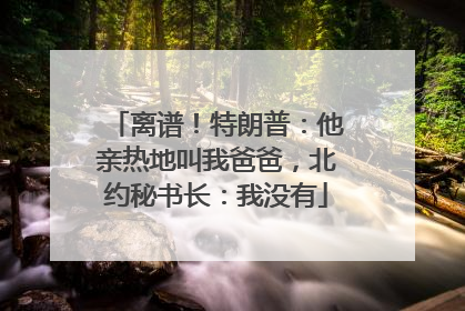 离谱！特朗普：他亲热地叫我爸爸，北约秘书长：我没有