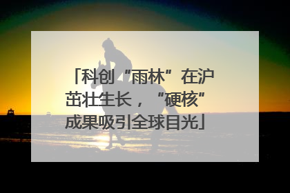 科创“雨林”在沪茁壮生长，“硬核”成果吸引全球目光