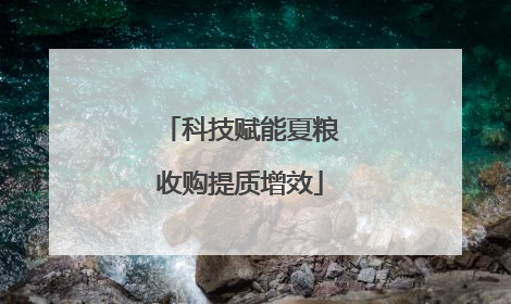 科技赋能夏粮收购提质增效