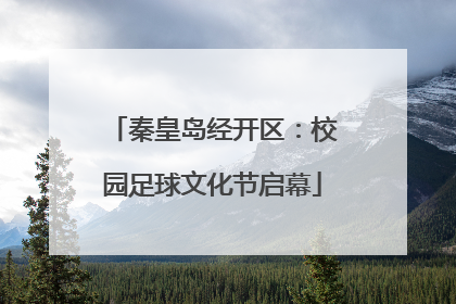 秦皇岛经开区：校园足球文化节启幕