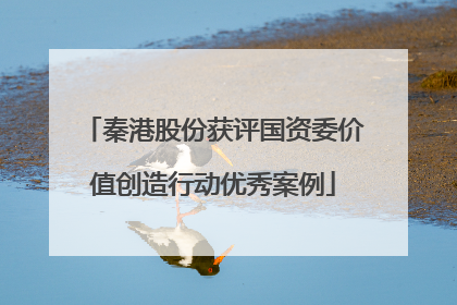 秦港股份获评国资委价值创造行动优秀案例