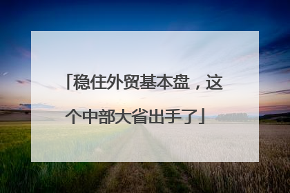 稳住外贸基本盘，这个中部大省出手了