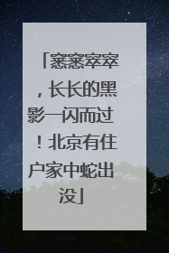 窸窸窣窣，长长的黑影一闪而过！北京有住户家中蛇出没