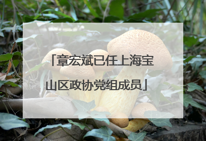 章宏斌已任上海宝山区政协党组成员