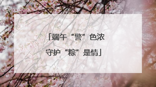 端午“警”色浓 守护“粽”是情