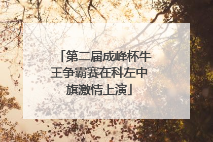 第二届成峰杯牛王争霸赛在科左中旗激情上演